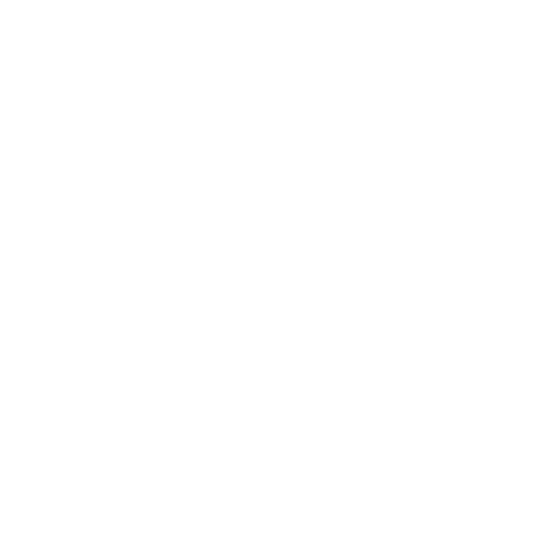 Audit