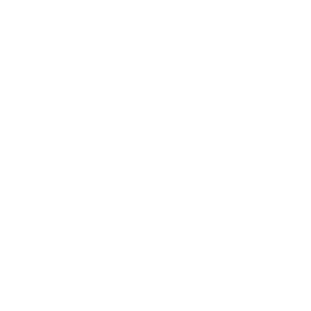 CSS